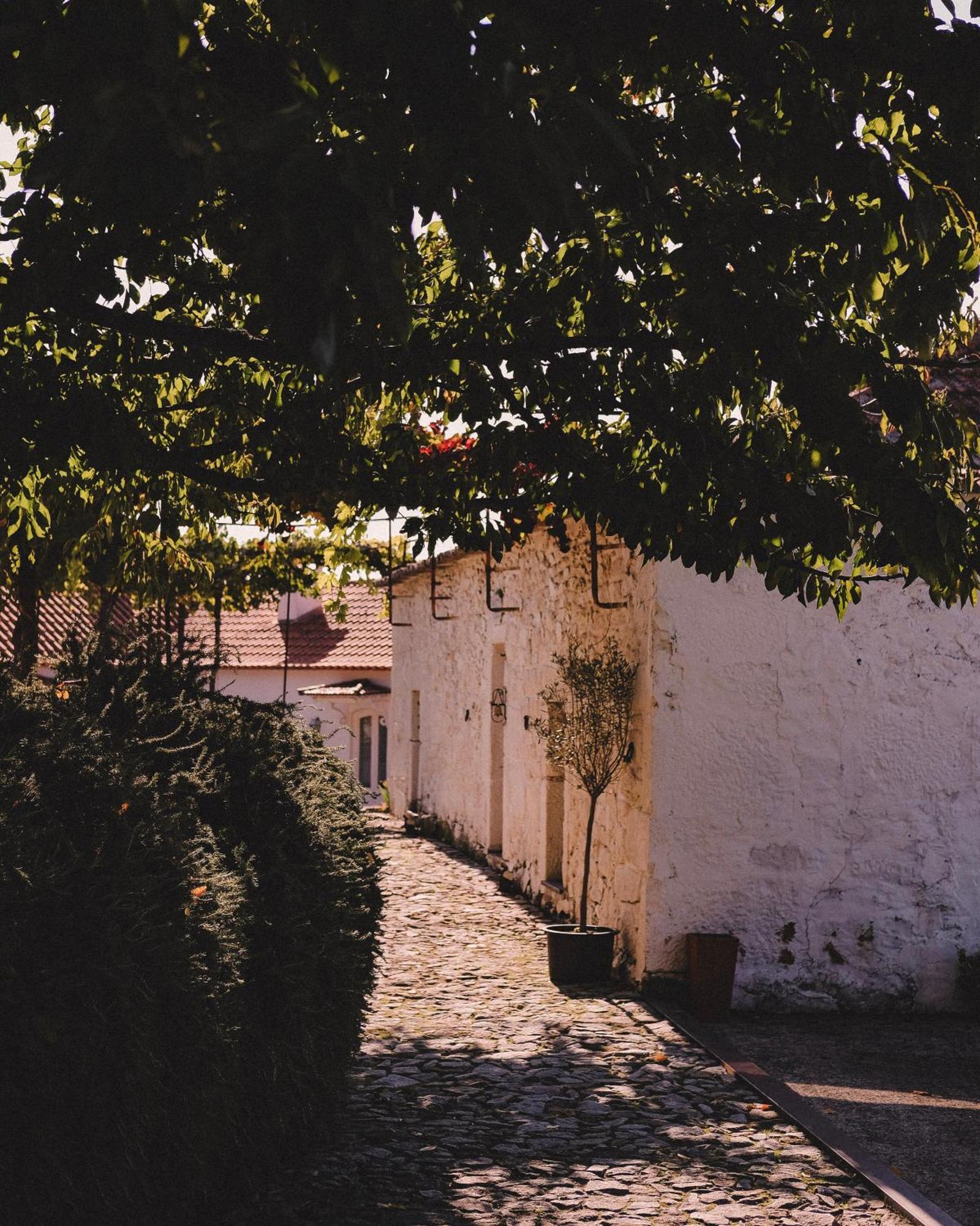 Casal De Tralhariz - Douro Valley Екстериор снимка