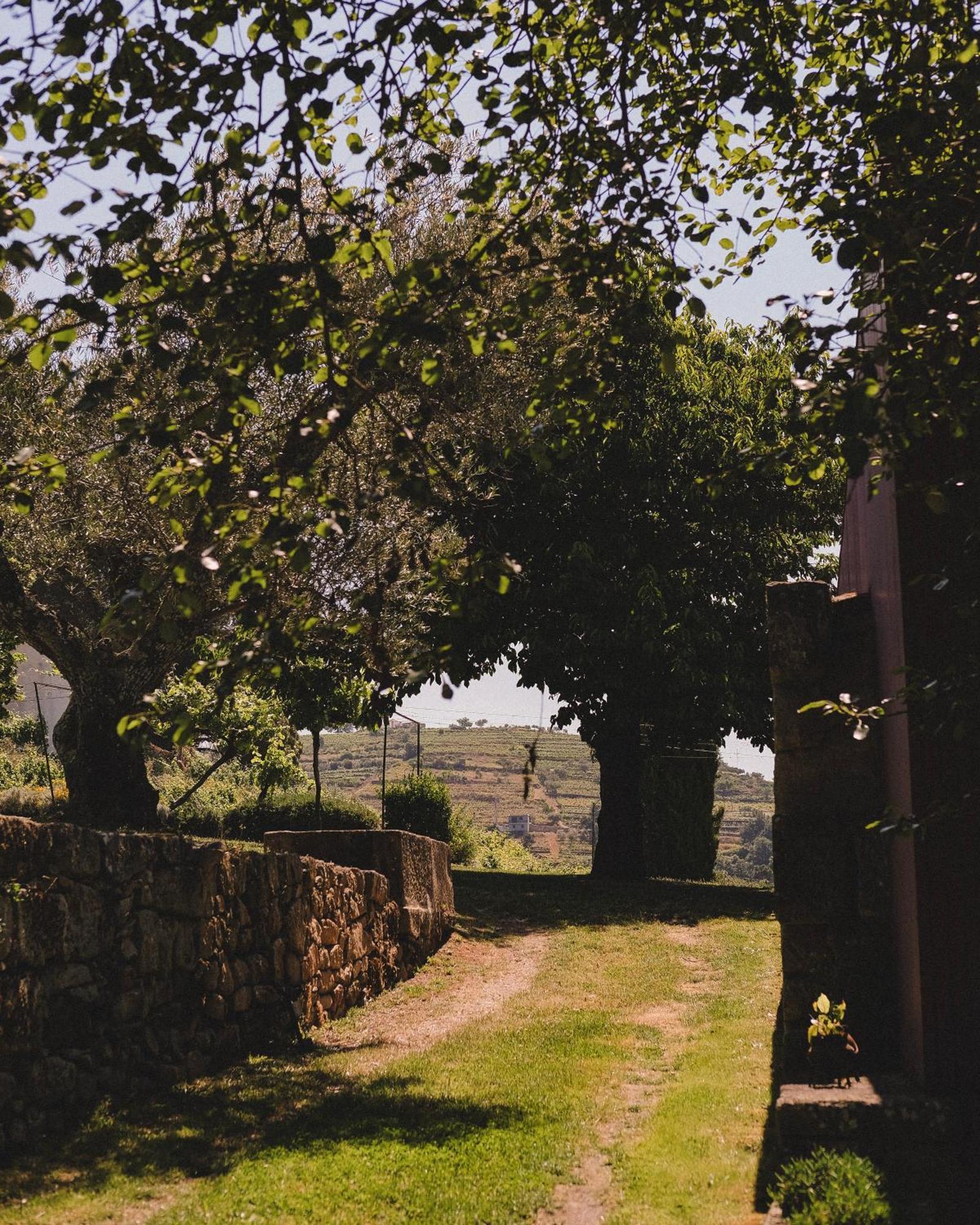 Casal De Tralhariz - Douro Valley Екстериор снимка