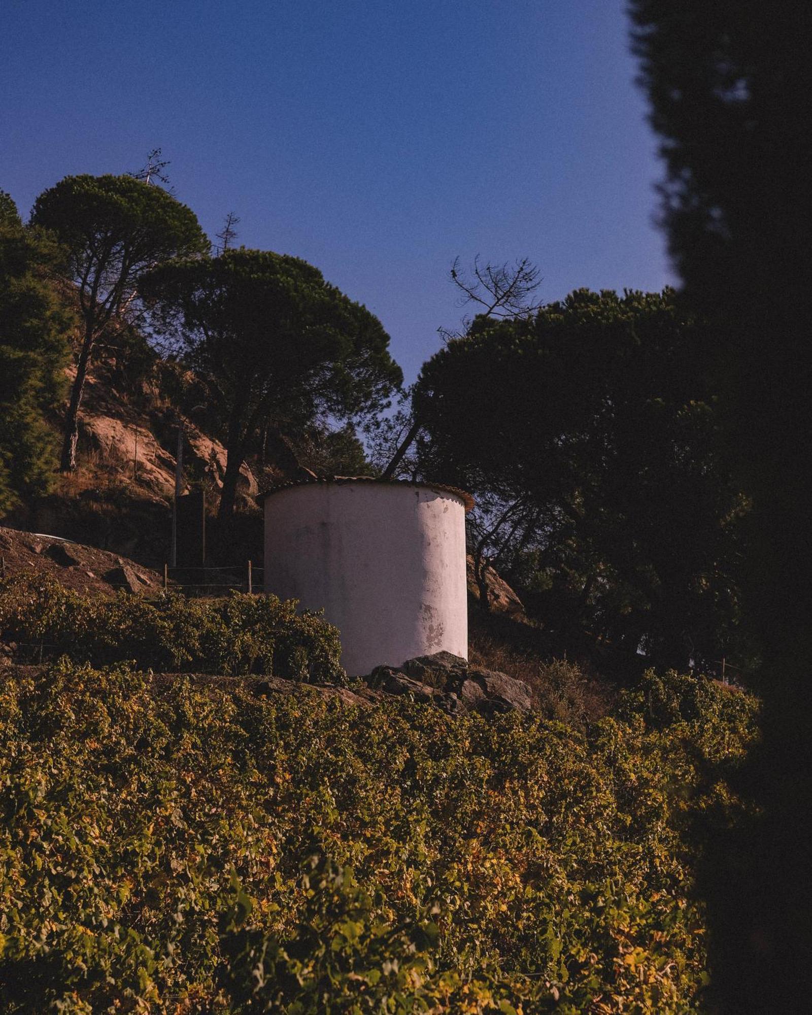 Casal De Tralhariz - Douro Valley Екстериор снимка