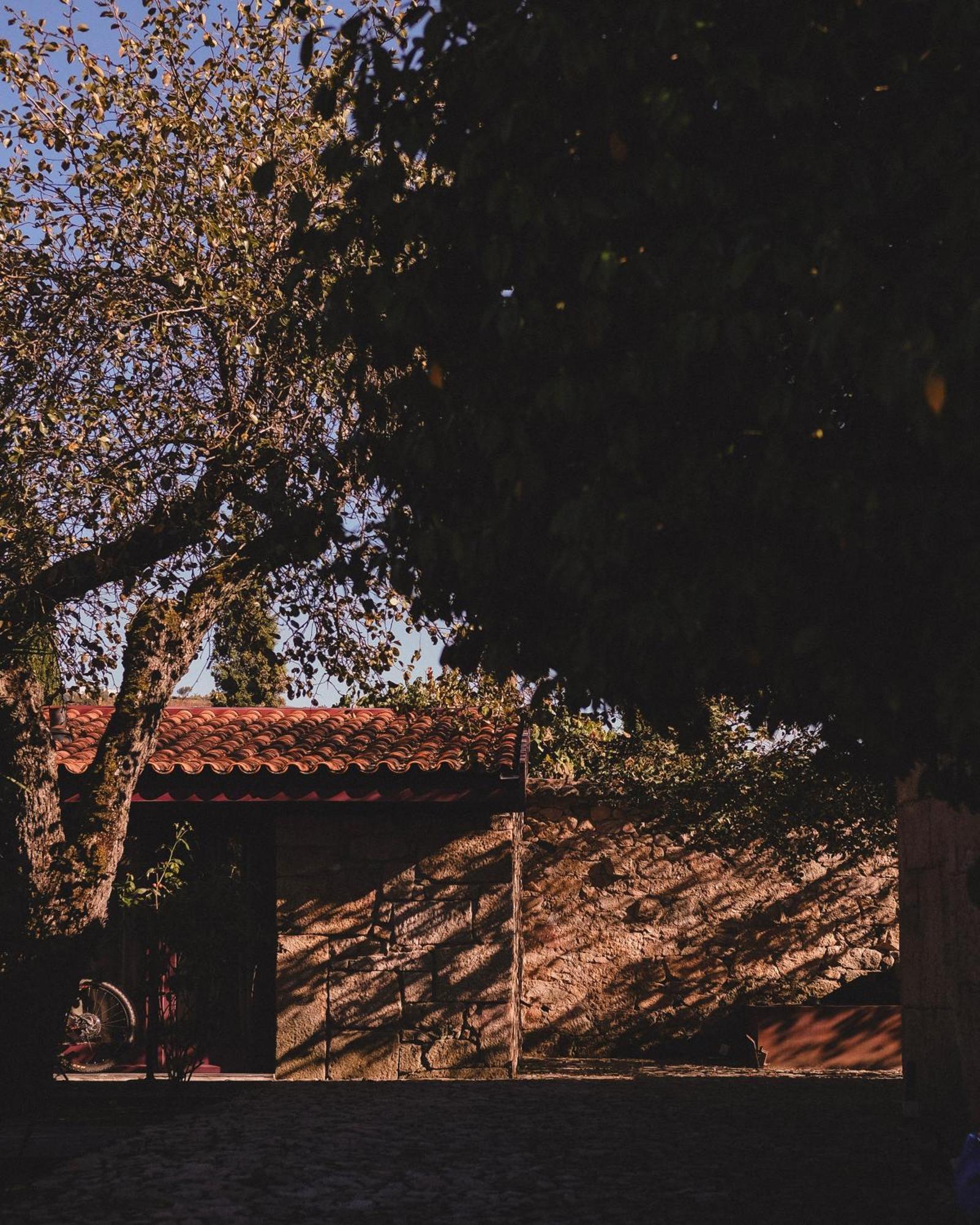 Casal De Tralhariz - Douro Valley Екстериор снимка